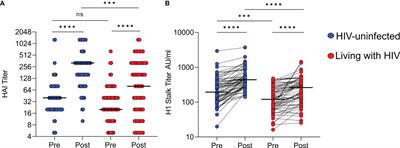 Influenza Vaccination Results in Differential Hemagglutinin Stalk-Specific Fc-Mediated Functions in Individuals Living With or Without HIV